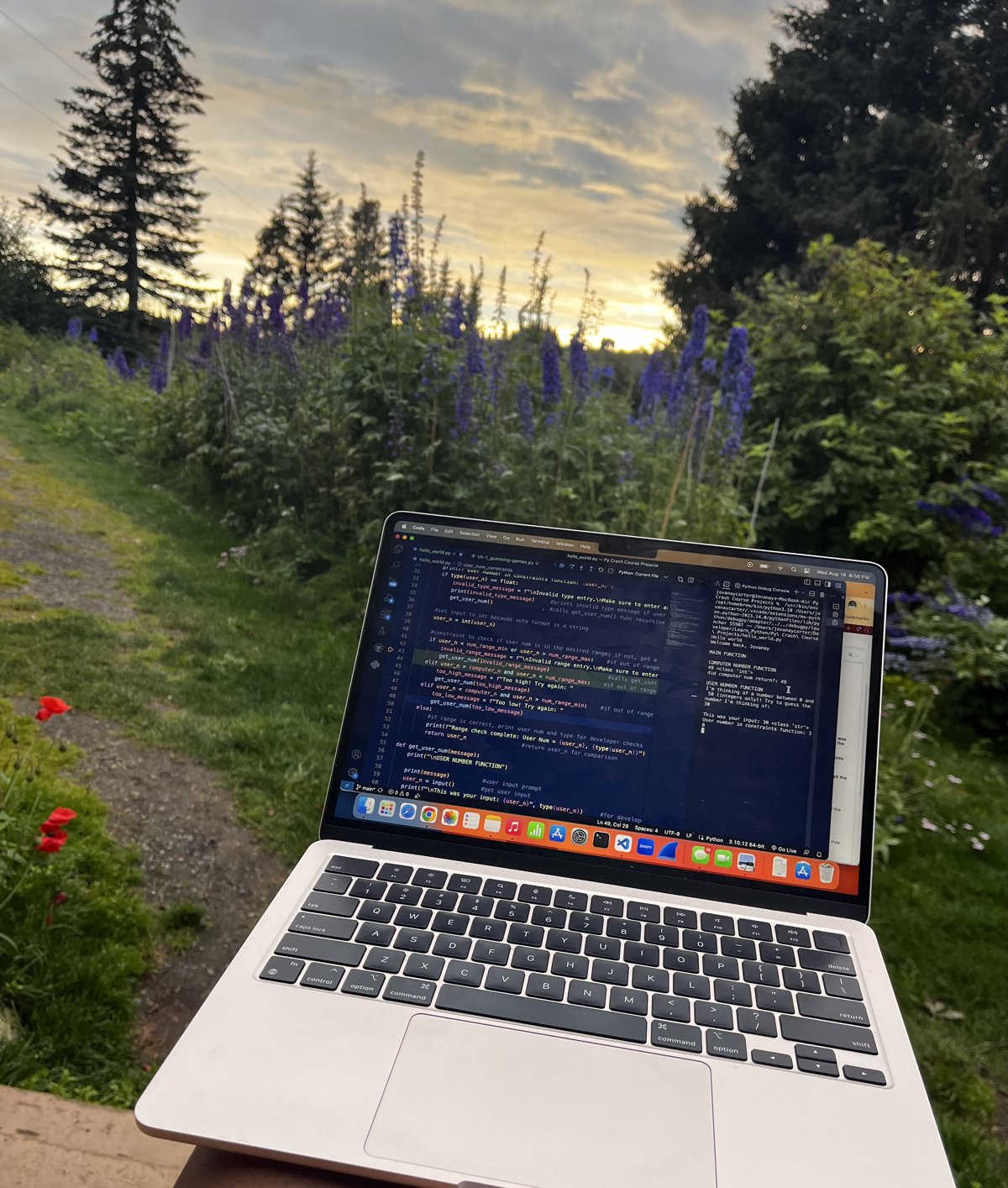 Jovanay's laptop open to Python code on a garden path at sunset, with purple lupines and pine trees behind it